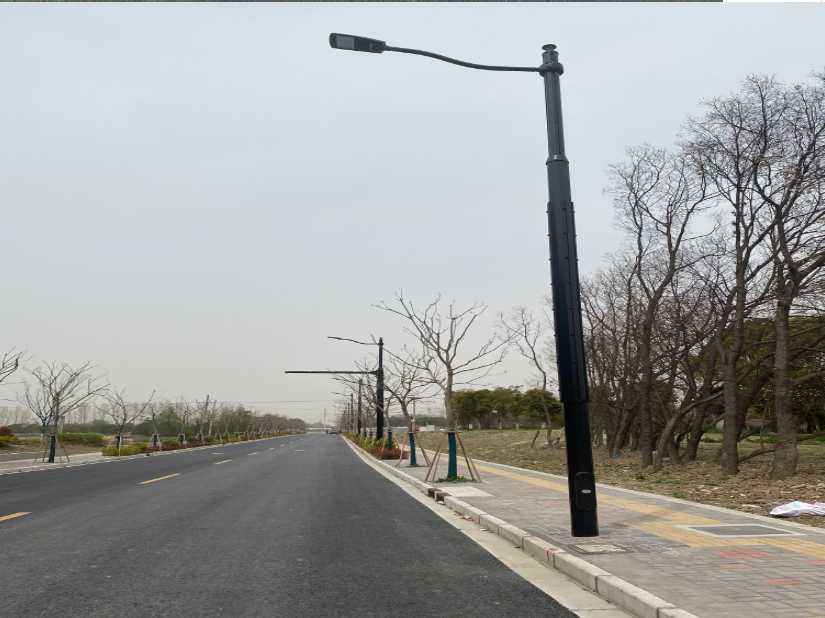 青州市上海综合杆 太阳能路灯工程